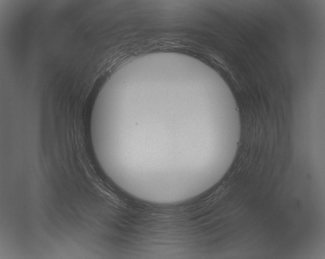 X0000051910362200507011540