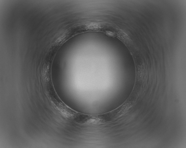 X0000051910364200507011540