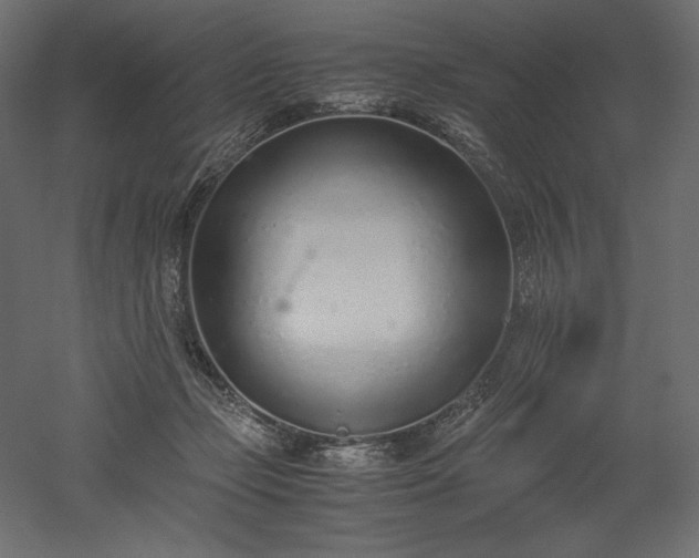 X0000051910365200507011540