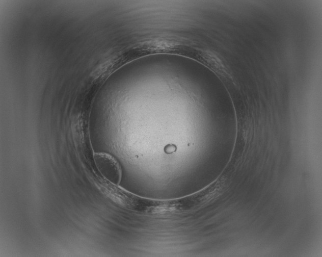 X0000051910366200507011540