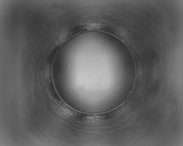 X0000051910367200507011540