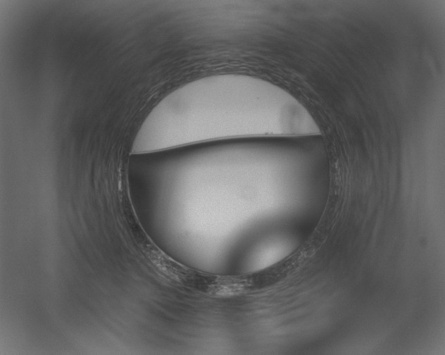 X0000051910368200507011540