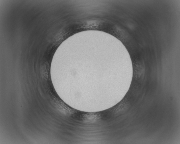 X0000051910370200507011540