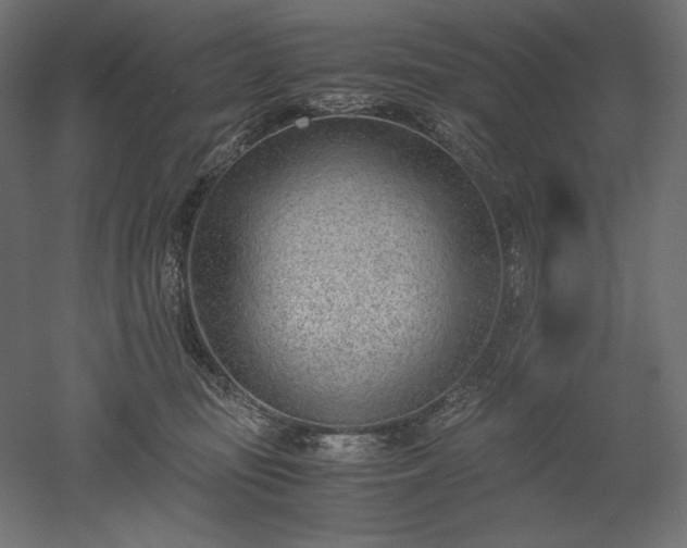 X0000051910371200507011540