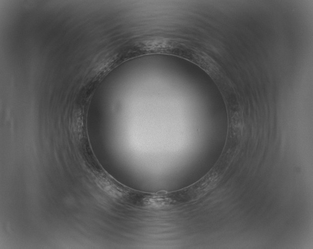 X0000051910372200507011540