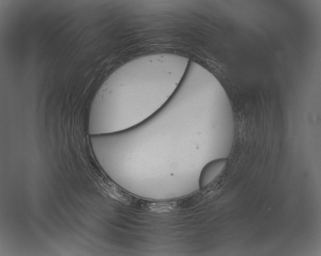 X0000051910373200507011540