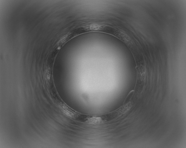 X0000051910374200507011540