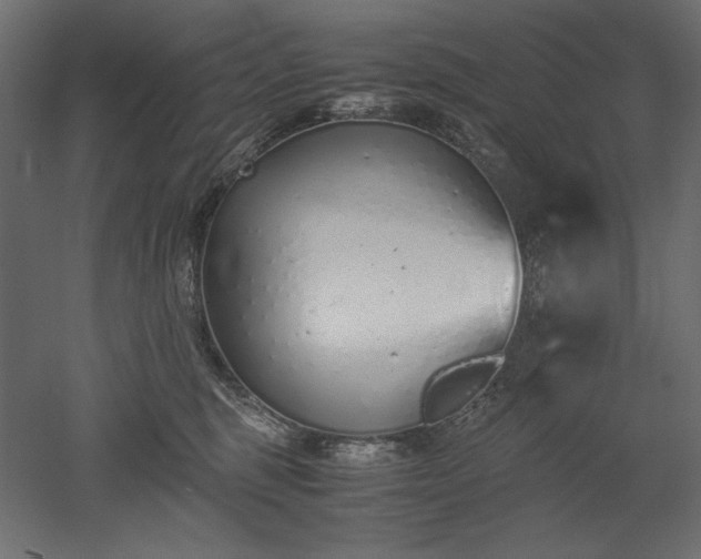 X0000051910375200507011540