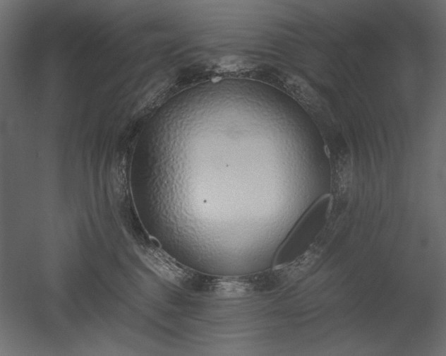 X0000051910376200507011540