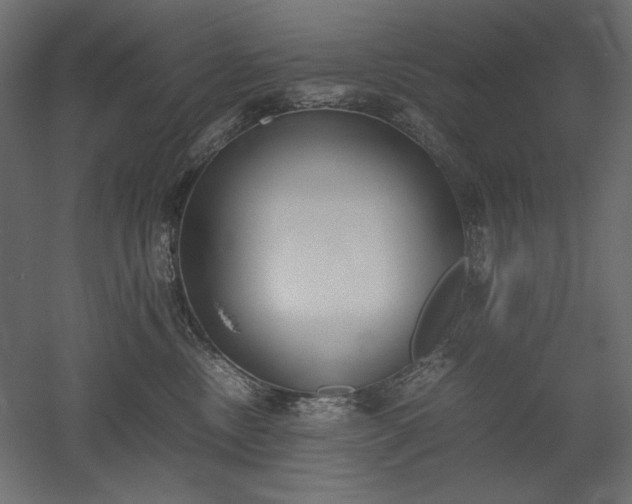 X0000051910378200507011540