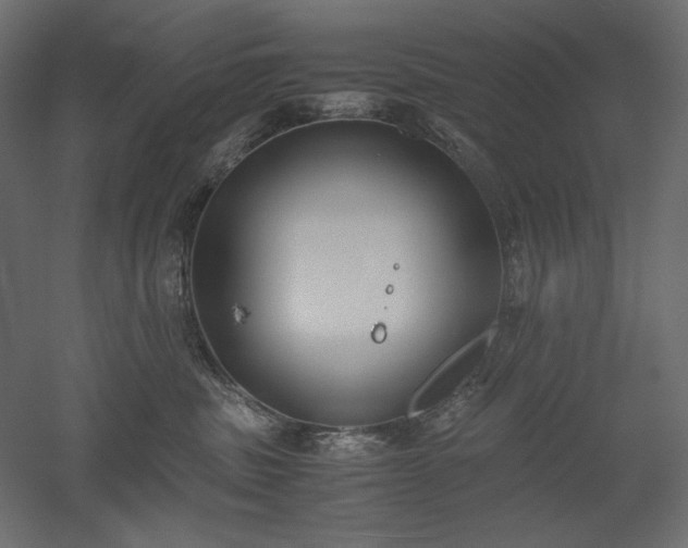 X0000051910379200507011540