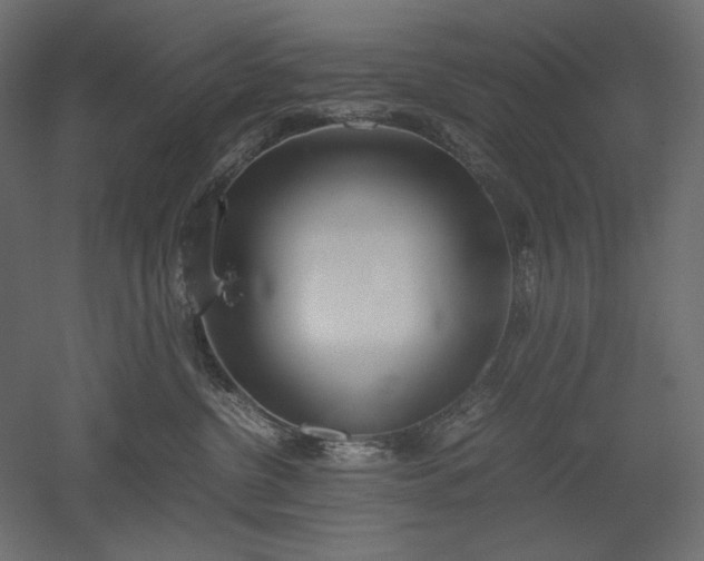 X0000051910380200507011540