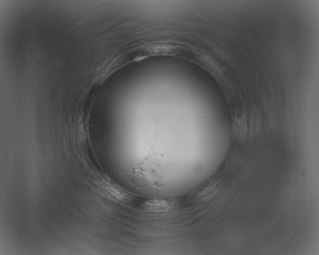 X0000051910381200507011540