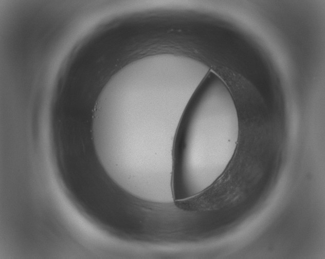 X0000051910382200507011540