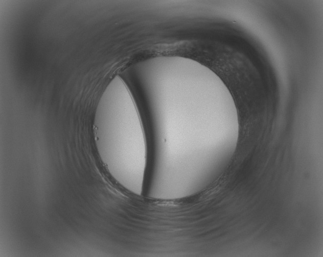 X0000051910383200507011540