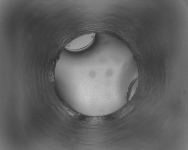 X0000051910384200507011540