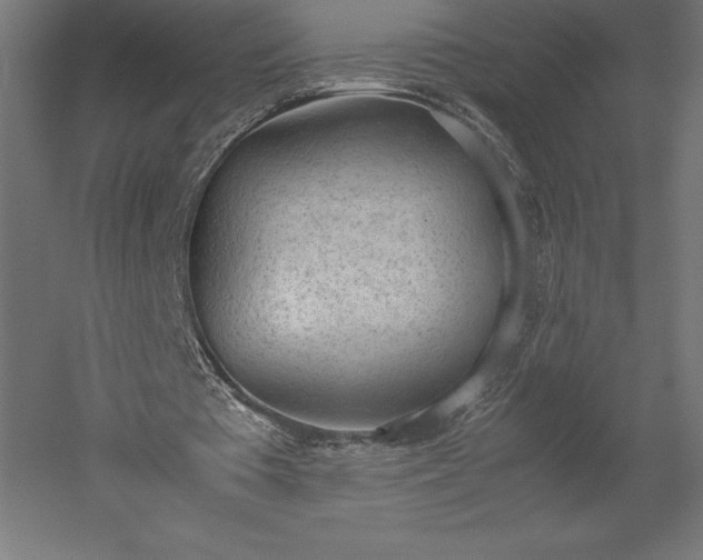 X0000051910385200507011539