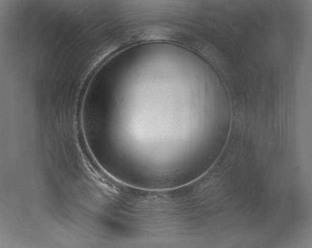 X0000051910386200507011539