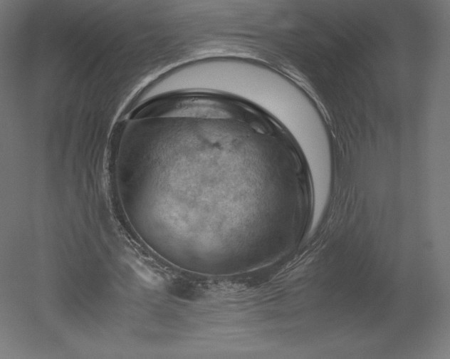 X0000051910387200507011539