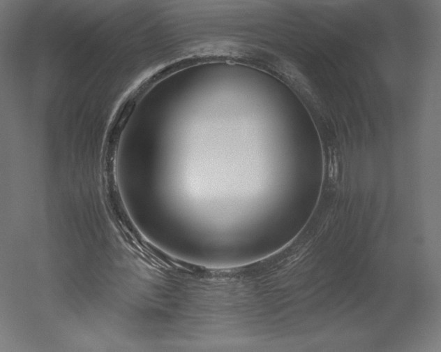 X0000051910388200507011539