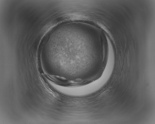 X0000051910391200507011539