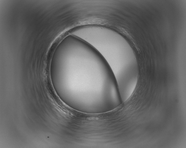 X0000051910392200507011539