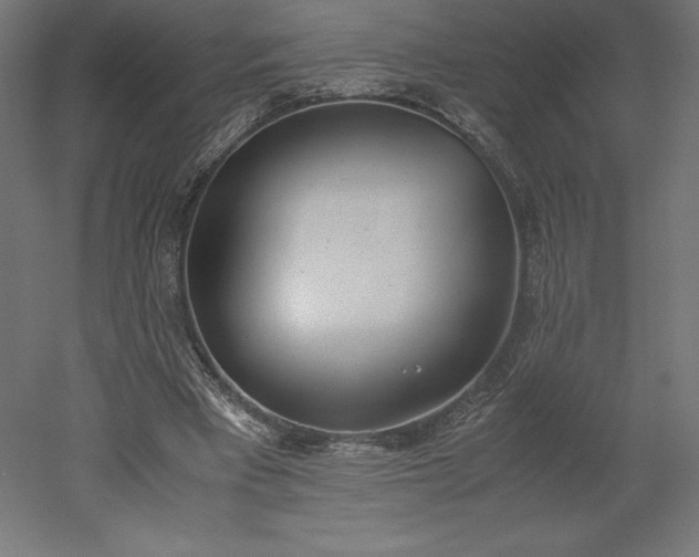 X0000051910393200507011539