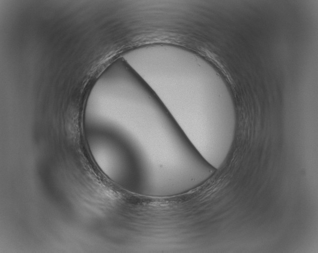 X0000051910394200507011539