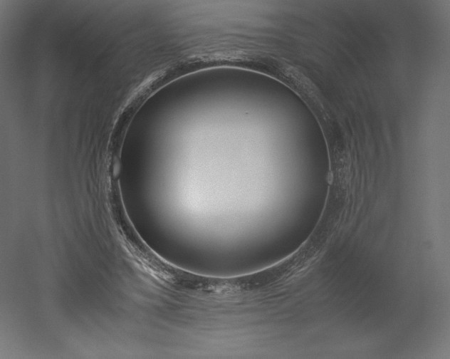 X0000051910395200507011539