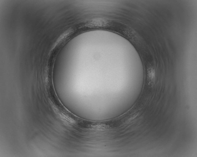 X0000051910396200507011539