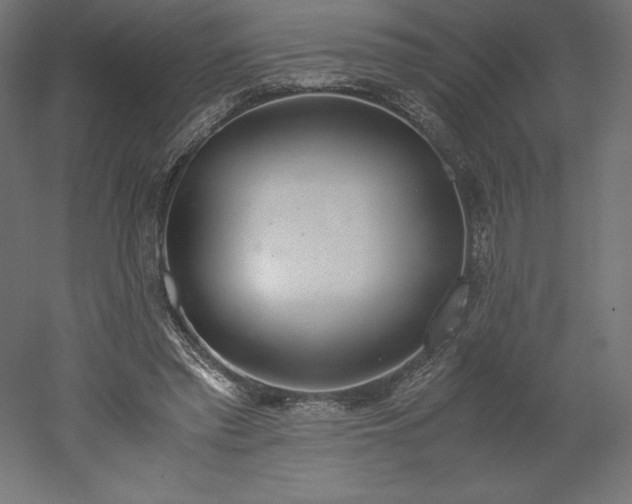 X0000051910397200507011539