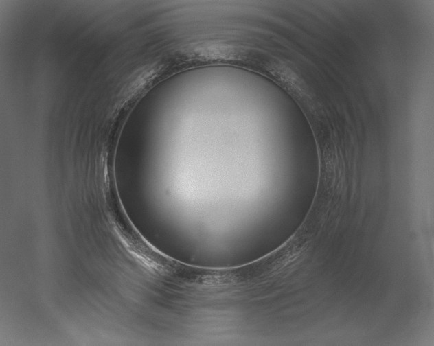 X0000051910398200507011539