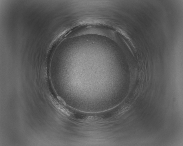 X0000051910399200507011539