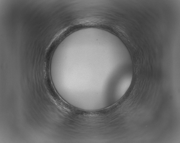 X0000051910400200507011539