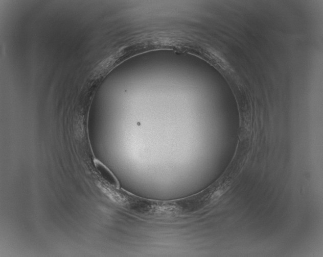 X0000051910401200507011539