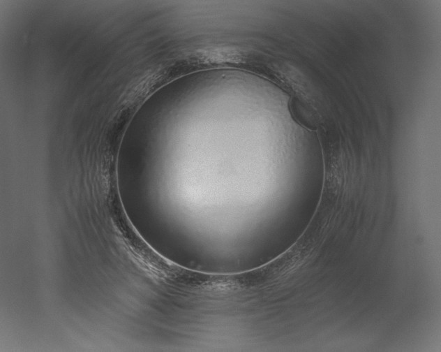 X0000051910402200507011539