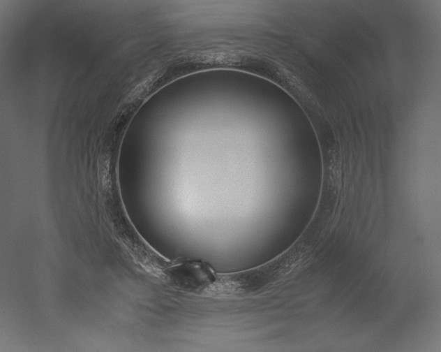 X0000051910403200507011539