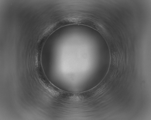 X0000051910404200507011539