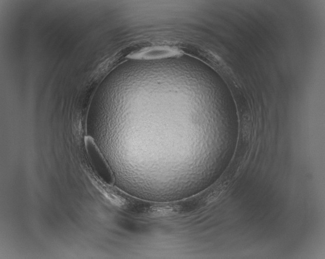 X0000051910405200507011539