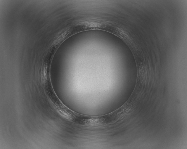 X0000051910406200507011539