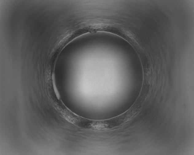 X0000051910407200507011539