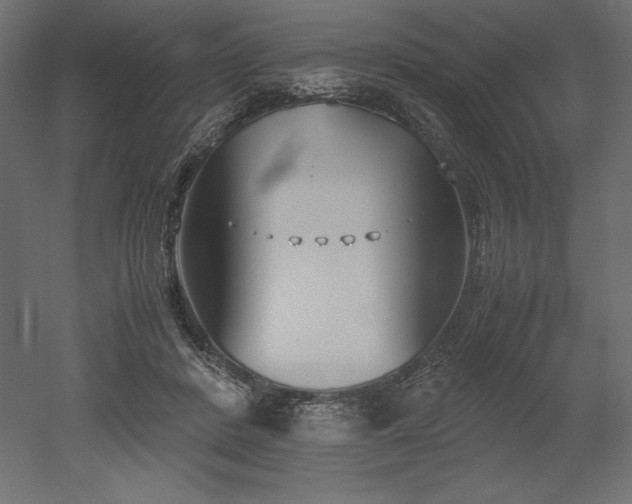 X0000051910408200507011539