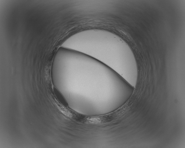 X0000051910409200507011539