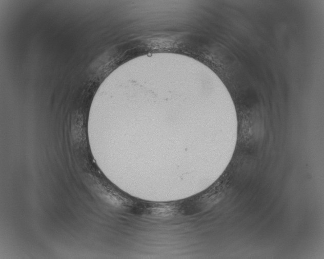 X0000051910411200507011539