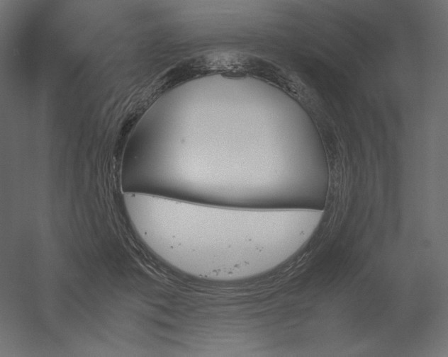 X0000051910413200507011539