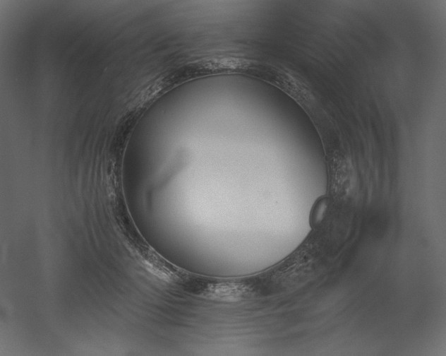 X0000051910414200507011539