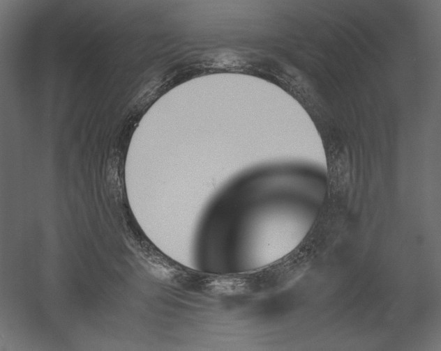 X0000051910415200507011539