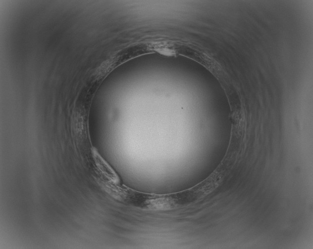 X0000051910417200507011539