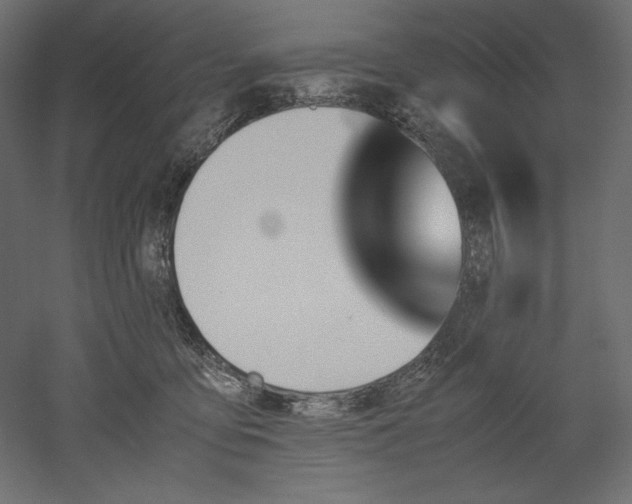 X0000051910419200507011538