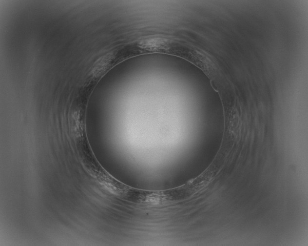 X0000051910420200507011538